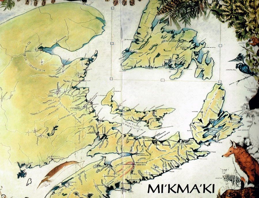 carte Mimaki